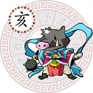 属猪双子男性格 属猪双子男今日运势是什么意思?