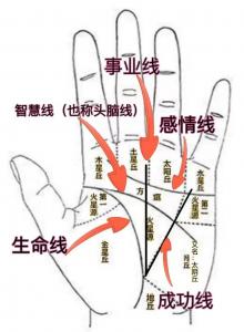 男生手掌纹路有吉凶吗 男生左手手掌痣全图