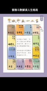 紫微斗数择日用事吉凶祥解 择日用事什么意思
