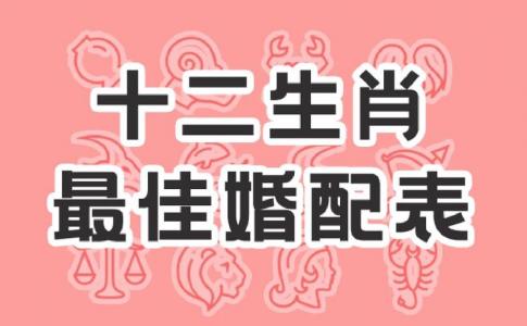 女属猪男属虎婚姻 父亲属虎儿子属猪怎么样是什么意思?