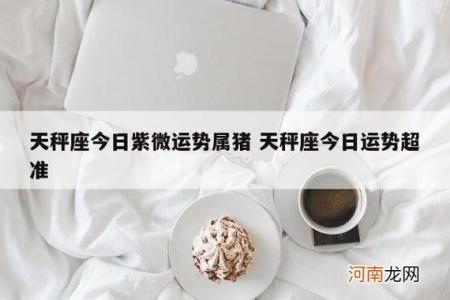 天秤座属猪人今日运势 属猪终身吉祥物