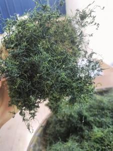 吉凶中平利考试吗 大畜卦对考试的预示