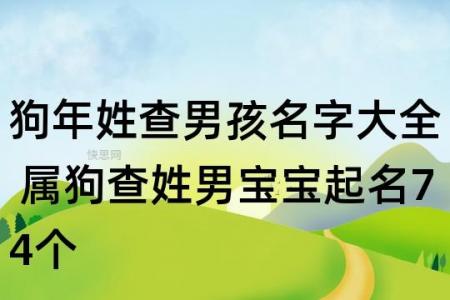查姓狗年宝宝起名 姓高狗年宝宝取名