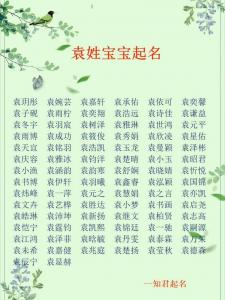 袁氏宝宝起名大全男宝 袁氏家族一览表