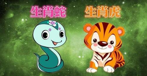摩羯座属蛇虎年运势 属虎摩羯女今日财产运势