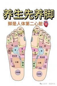 左脚心痒时辰吉凶 玄学左脚背痒预示什么