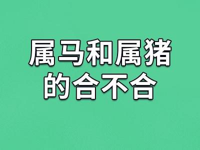 马跟属猪人相合不合婚姻 属马属猪的17层楼房选几层最好是什么意思？