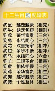 属狗与什么相克 狗的死对头是谁是什么意思?