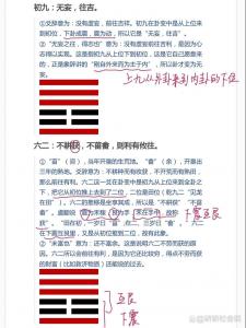 天雷无妄卦测吉凶 天雷无妄卦预示疾病