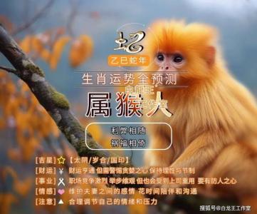 鼠年属猴运成 猴的终身寿命是什么意思?