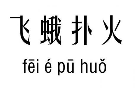 飞蛾扑火打麻将吉凶 打麻将吉凶日历