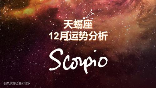 萨斯塔罗天蝎座下半年运势 命运塔罗牌