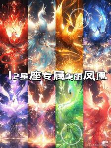 凤凰十二星座运势 柒爸爸星座一周运势