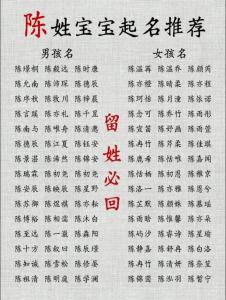 陈姓男孩取名时辰吉凶 陈姓100分男孩名