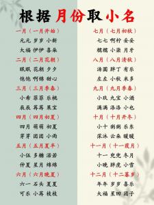 5月兔宝男宝宝起名小名 9月份的兔宝宝取名男宝