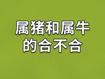 属牛和属猪相冲吗 2025年属猪的吉祥物是什么意思?