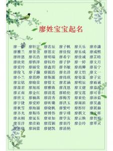 狗年女宝宝起名字姓廖好吗 廖和唐组合起名