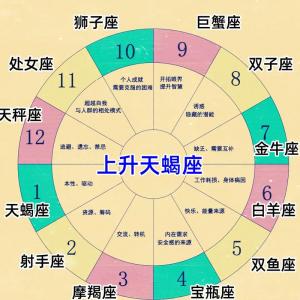 十二星座古代命运 十二星座前世贵族排名