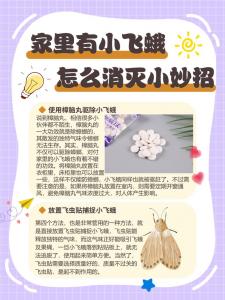 家里容易飞蛾子吗吉凶预兆 家里突然有蛾子风水