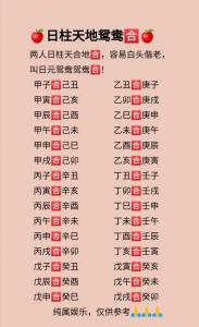 壬寅日柱运程吉凶查询大全 女命壬寅日柱的另一半