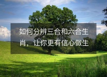 如何分辨三合和六合生肖,让你更有信心做生肖网站的生意