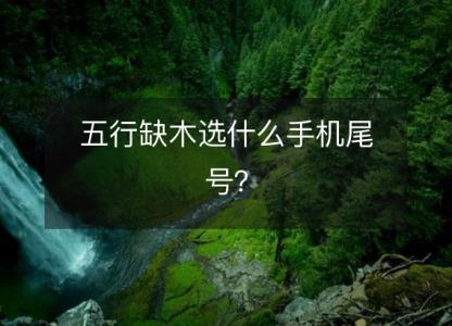 五行缺木选什么手机尾号?