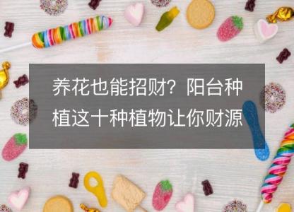 养花也能招财?阳台种植这十种植物让你财源滚滚