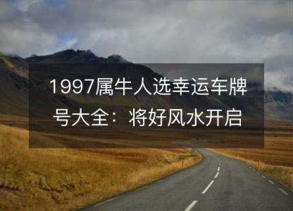 1997属牛人选幸运车牌号大全:将好风水开启新生活