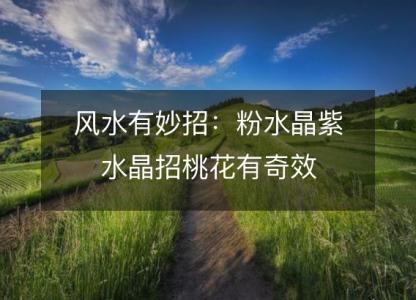 风水有妙招:粉水晶紫水晶招桃花有奇效