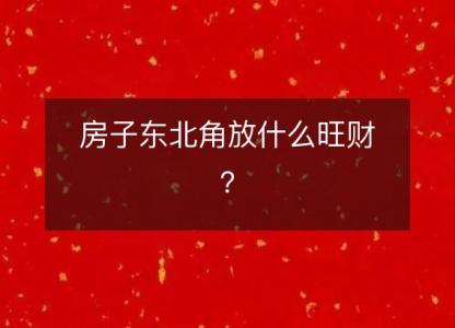 房子东北角放什么旺财?