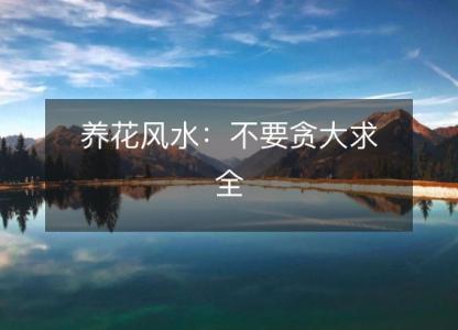 养花风水:不要贪大求全