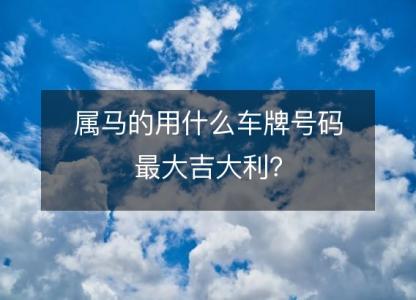 属马的用什么车牌号码最大吉大利?