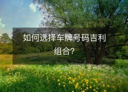 如何选择车牌号码吉利组合?