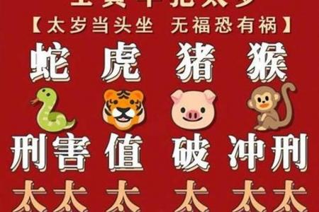 属猪的2025怎么增加财运 2025属猪的人运势怎么样是什么意思?