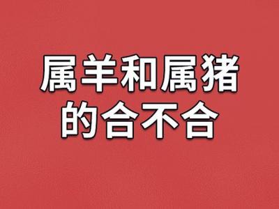 属羊和属猪旺财吗 属羊的和属猪的合财吗是什么意思?