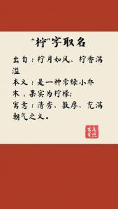 给兔宝宝起名用柠字好吗 宥柠起名如何