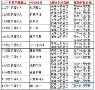 属狗想离婚 2024年属狗男会和妻子离婚吗是什么意思?