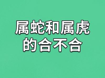 男属蛇与女属虎相配吗 属蛇虎是什么意思?