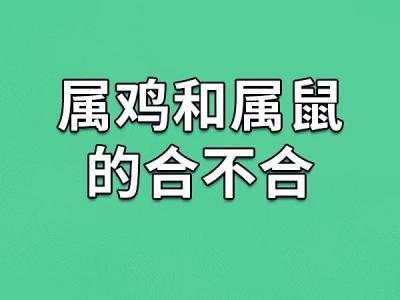 属鼠和属鸡在一起财运好吗 属鼠和属鸡在一起适合吗是什么意思?