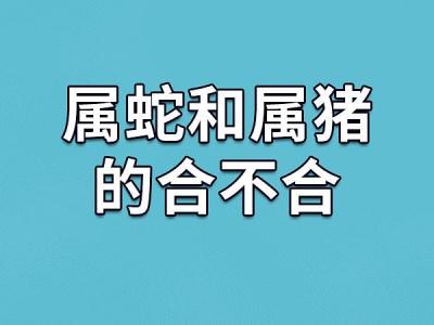 属蛇和属猪的合财吗蛇 我属猪老婆属蛇是什么意思?