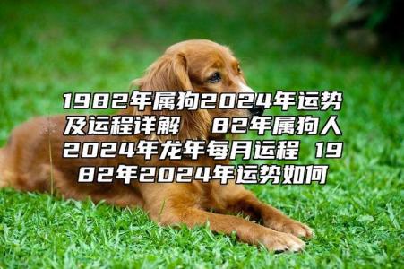 82年狗11月星座运势 82年女狗11月运势