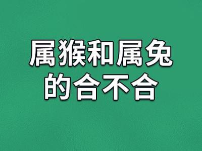 男人属猴和属兔婚配好不好 属兔的和属猴的能在一起做生意吗是什么意思?