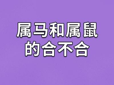 父母属马我属鼠相克吗婚姻 男马女鼠可以做情人吗是什么意思?