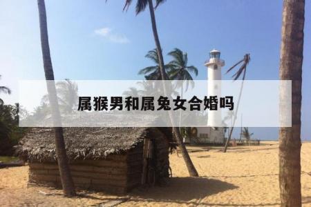 男属兔与女属猴的婚配好吗 爸爸属兔妈妈属猴生龙宝宝好吗是什么意思?