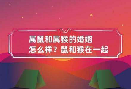 属鼠女和属猴的婚配 一家三口属鼠龙猴好不好是什么意思?