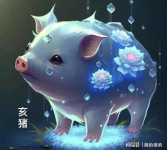 属猪的会是属龙的贵人么 属龙2024年转运饰物是什么意思?
