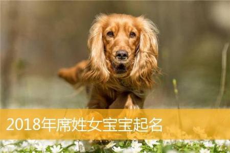 农历十月出生狗宝宝起名字 招财名字狗专用
