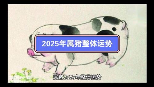 95属猪运势2025年 属猪在2025年的运气是什么意思?