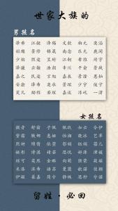 龙宝宝2024年起名王泽俊 2024龙男宝取名书