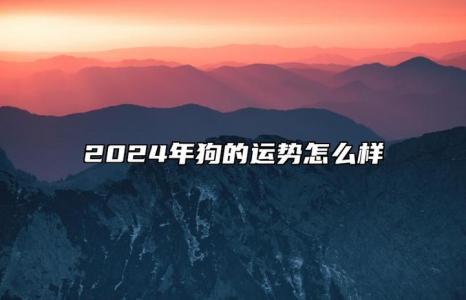 2024年大海水命的狗女命好吗 82年的狗大海水命2024有桃花运吗